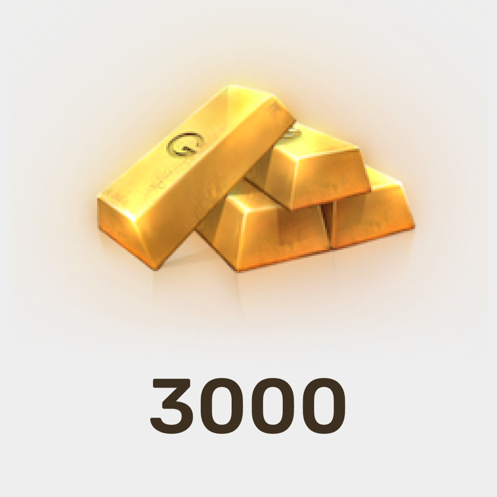 3 000 G
